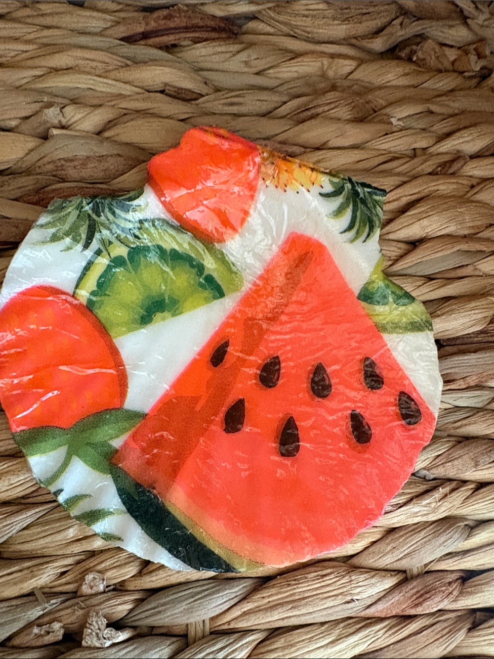 Watermelon Kiwi Shell Trinket Dish